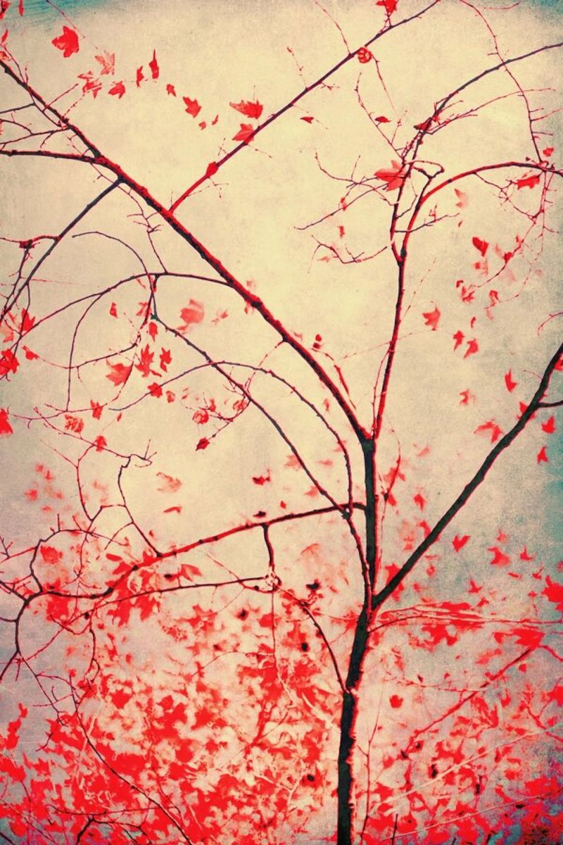 Red October pellicola backlit da Ingrid Beddoes