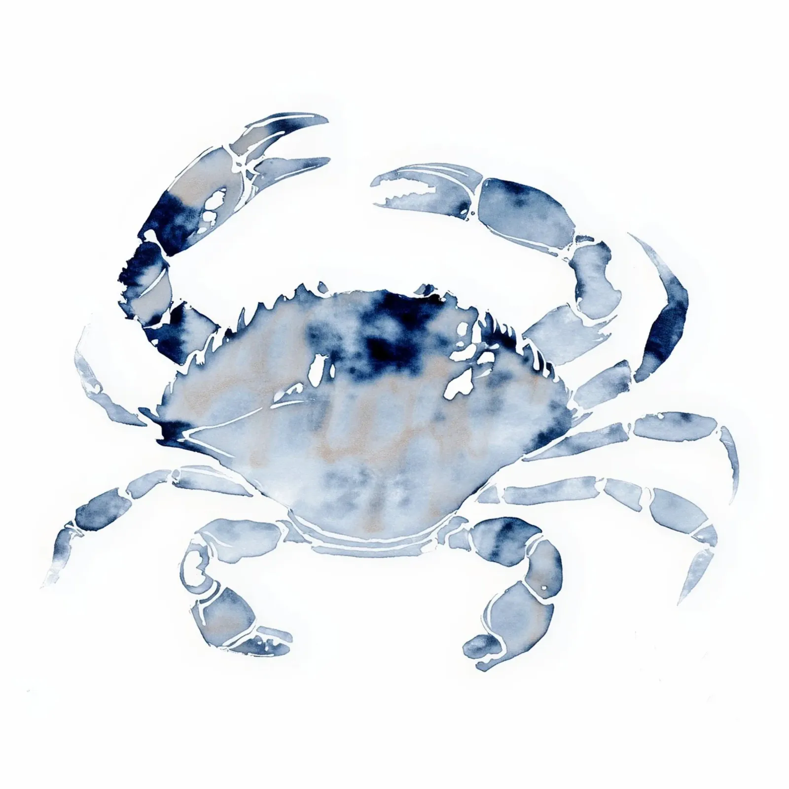 Granchio di mare indaco carta hahnemühle da Matthias Keller Studio