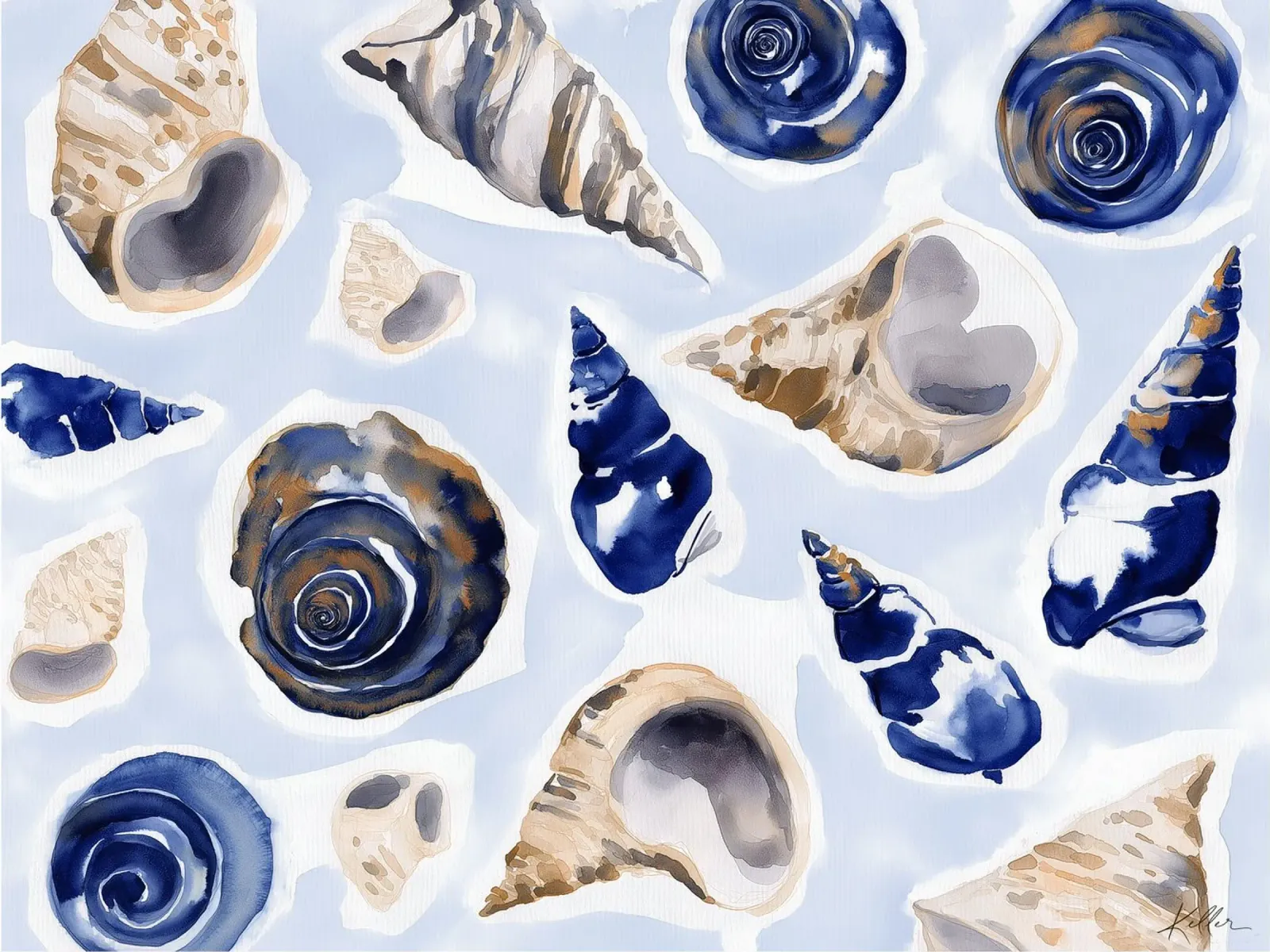 Conchiglie a spirale indaco carta hahnemühle da Matthias Keller Studio