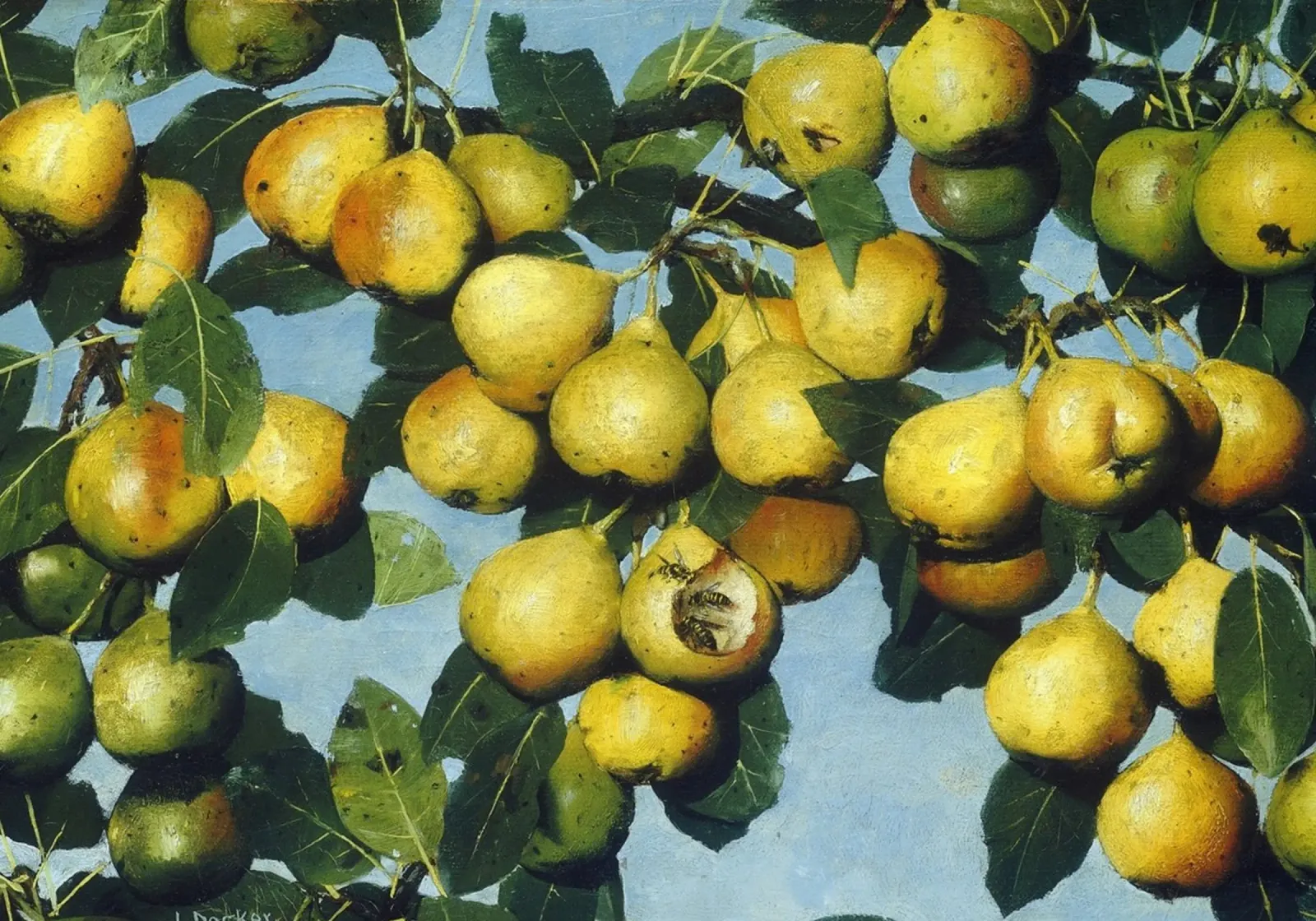 Pere Decker con vespe - Pittura realistica di un albero da frutta pellicola backlit da ClubArt