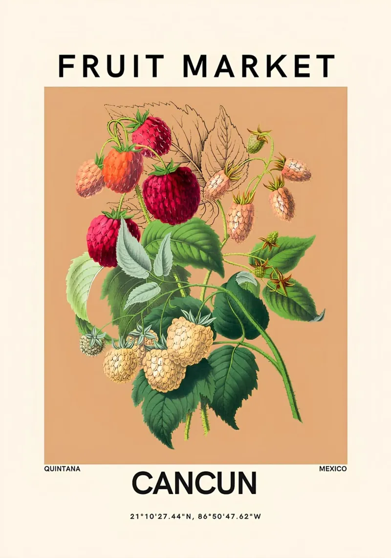 Cancun Fruit Market - Raspberry Botanical Art Poster canvas with Floater frame by ClubArt