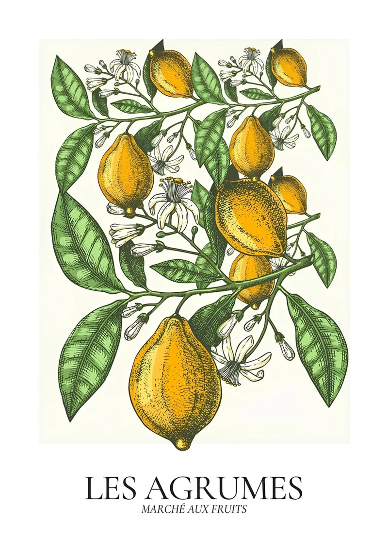 Les Agrumes - Poster botanico dettagliato sui limoni poster con telaio in plastica da ClubArt