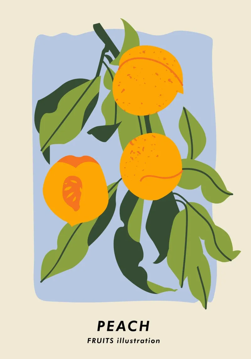 Pfirsich-Frucht-Zweig - Minimalistischer botanischer Kunstdruck Hahnemühle von ClubArt