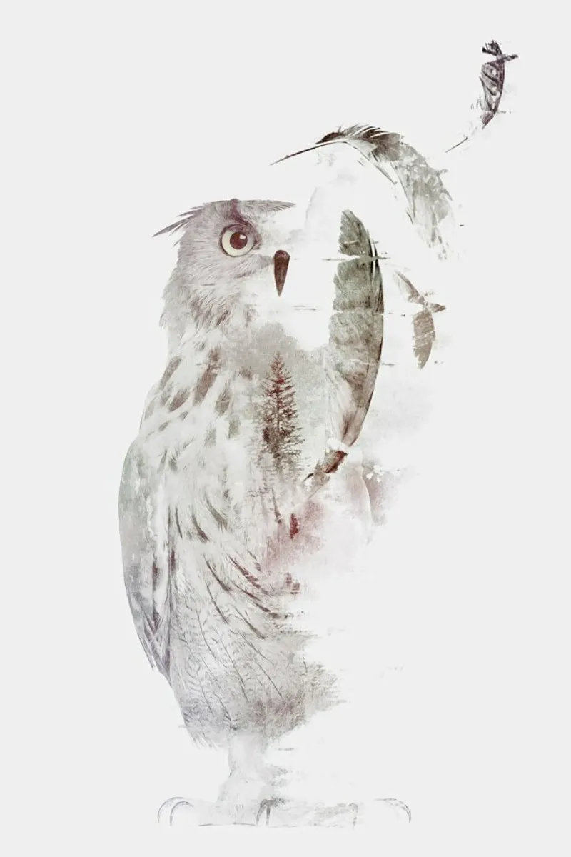Fade out carta hahnemühle da Róbert Farkas