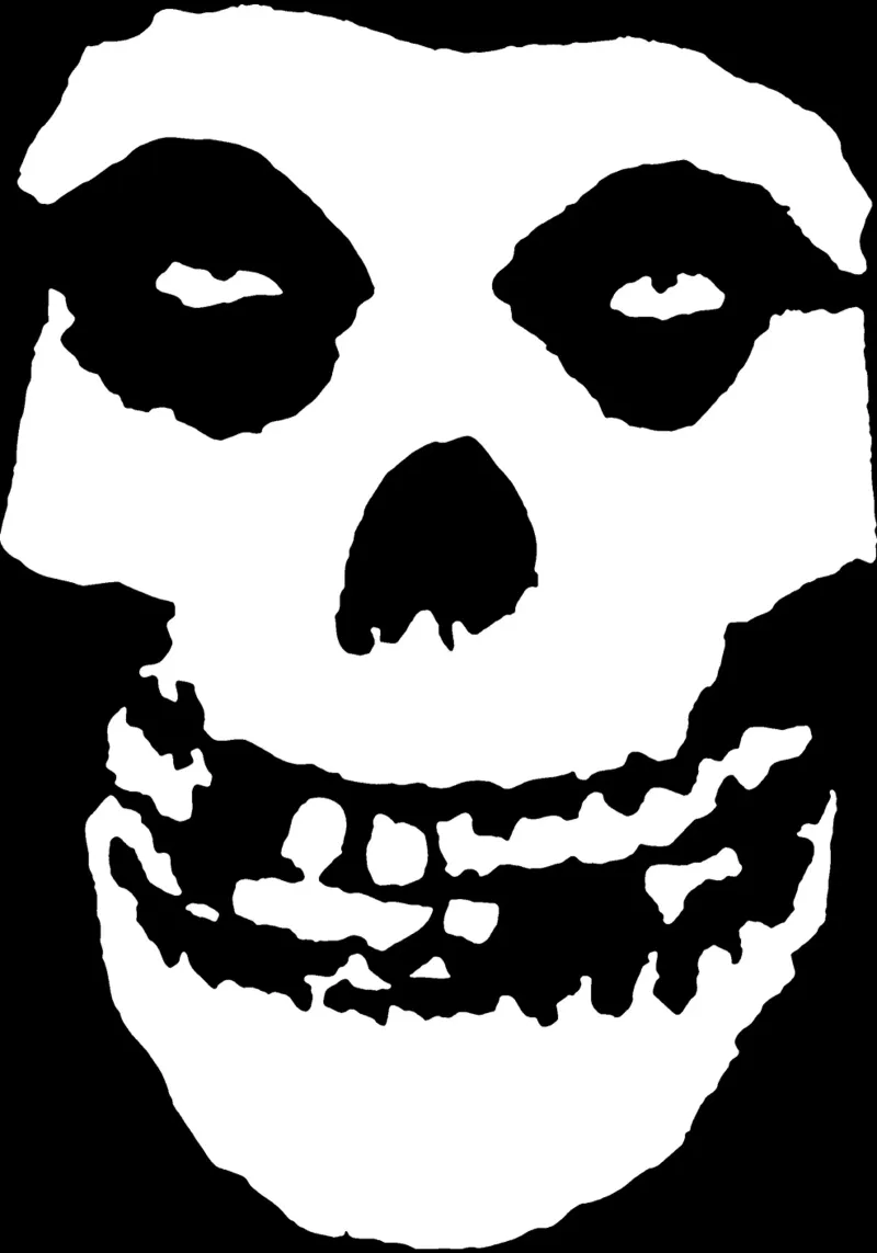 Misfits - Logo canvas van Aiden Hermisto