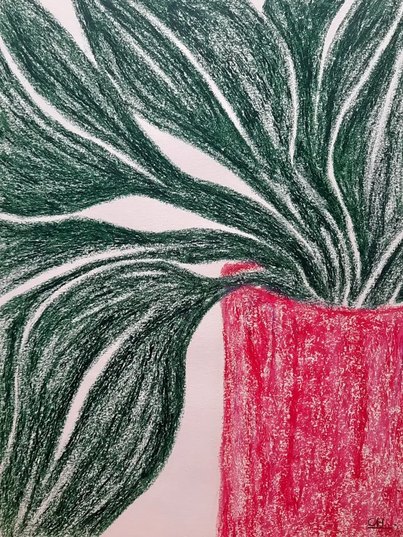 Pianta in vaso carta hahnemühle da Cohe studio