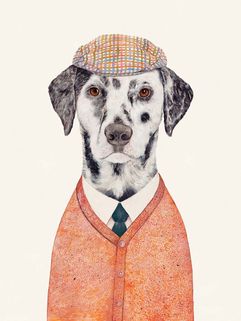 Dalmatian poster by Animal Crew