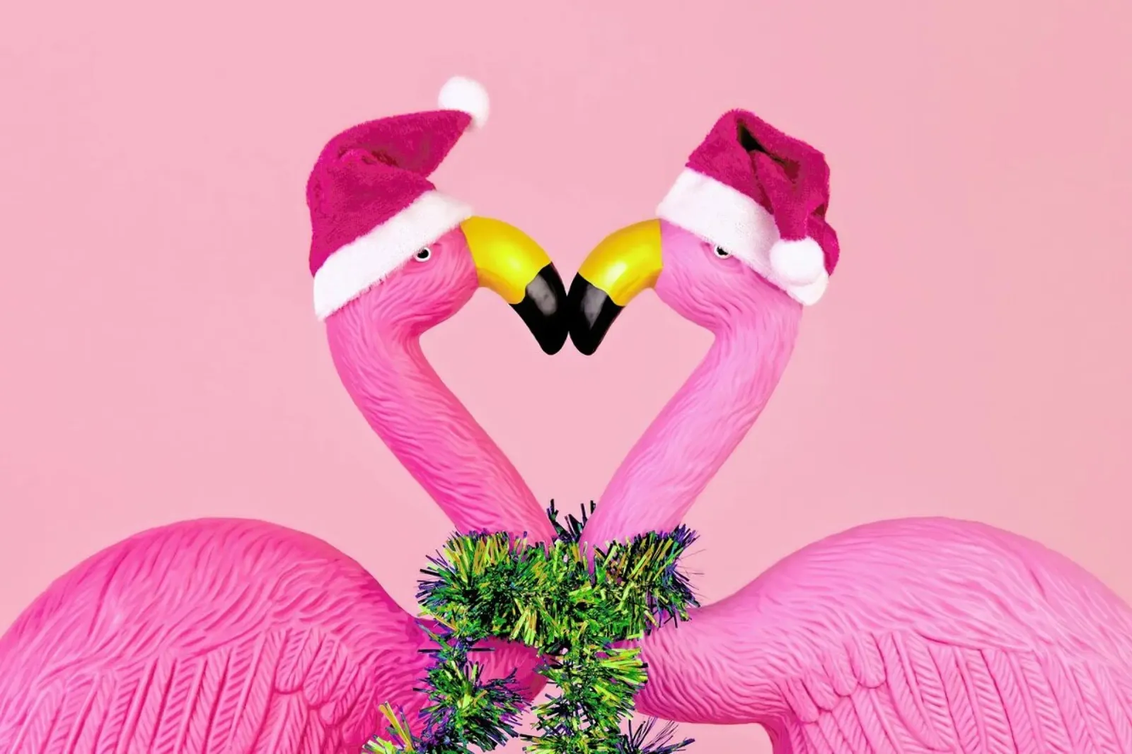 Santa Flamingo pellicola backlit da Juj Winn