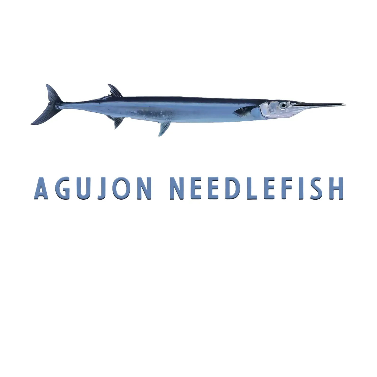 Agujon Pesce ago Pesce d'acqua salata poster con telaio in alluminio da singpentinksale