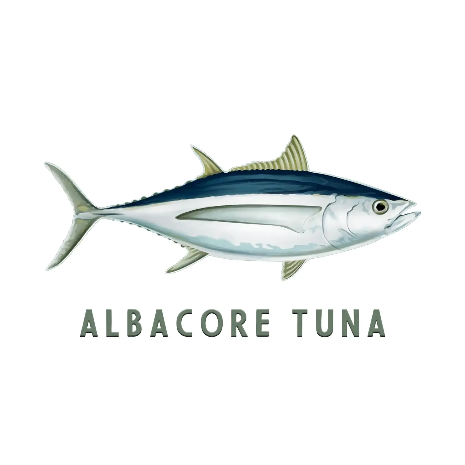 Tonno alalunga Pesce d'acqua salata pellicola backlit da singpentinksale