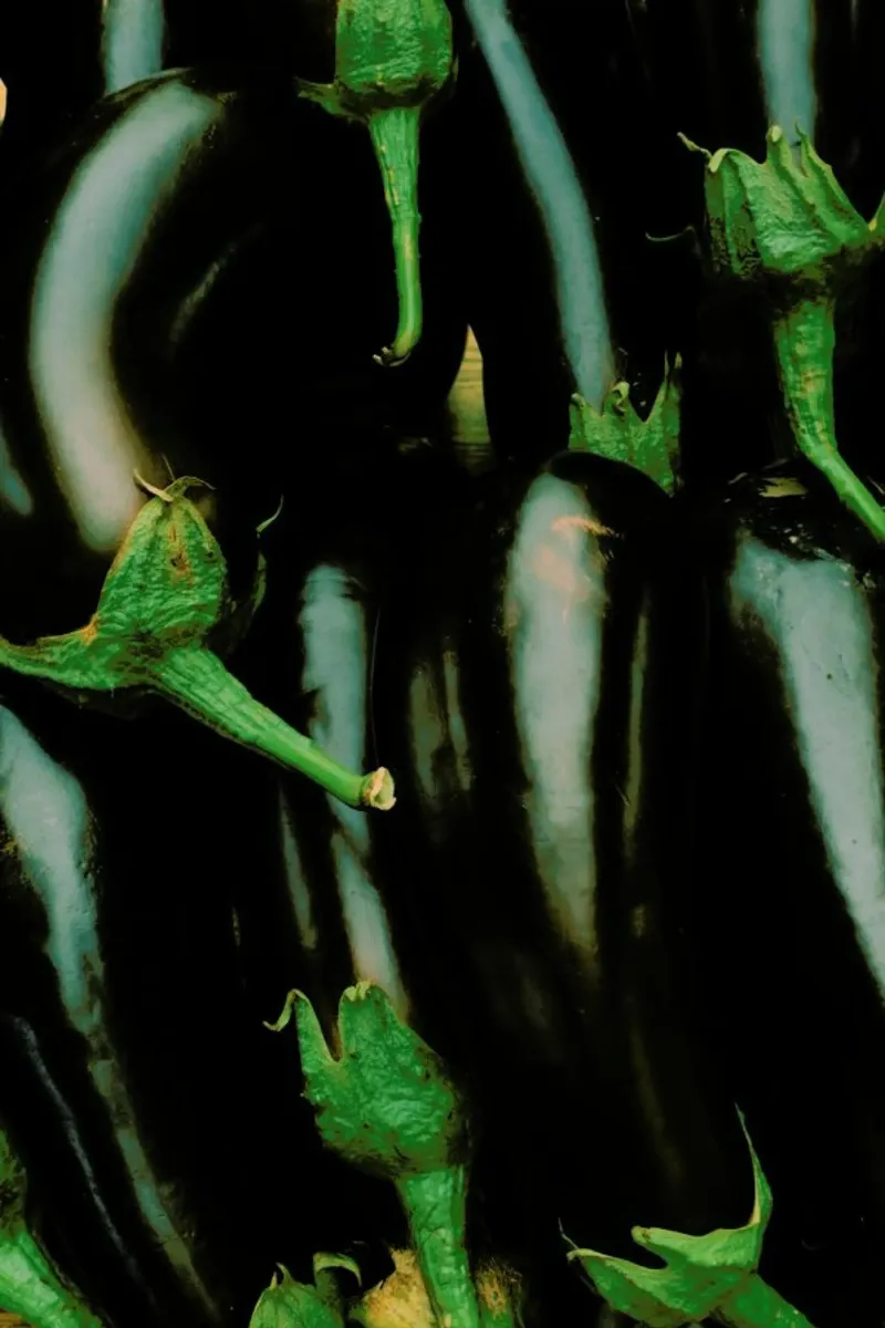 Aubergine Overload pellicola backlit da Sebastian Hilgetag