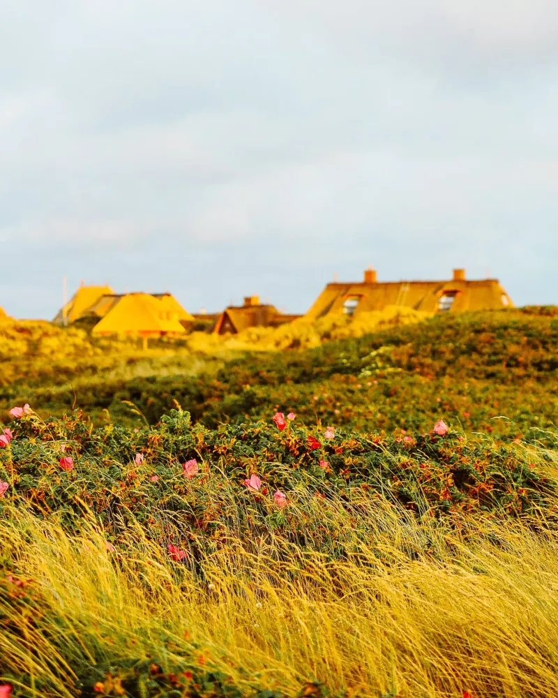 Sylt Häuser carta hahnemühle da Kudamm & Alpen