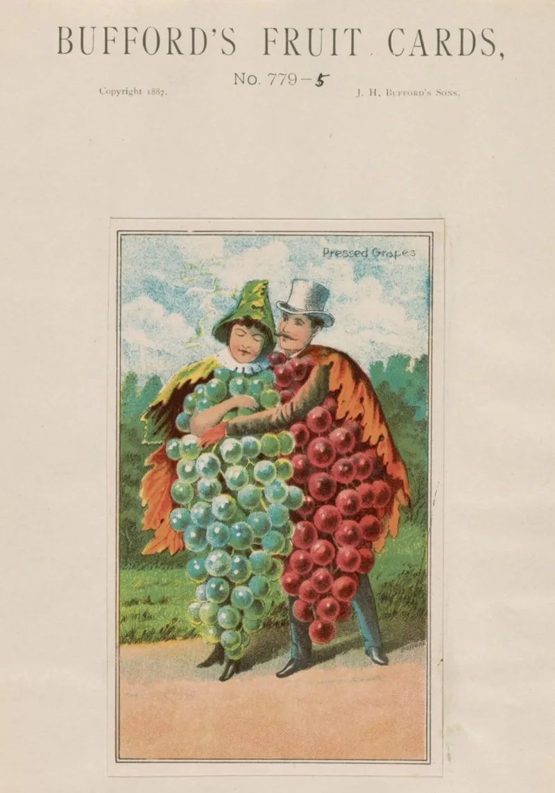 Biglietto da visita d'epoca "Uva spremuta" Bufford's Fruit Card (1887) poster da ClubArt