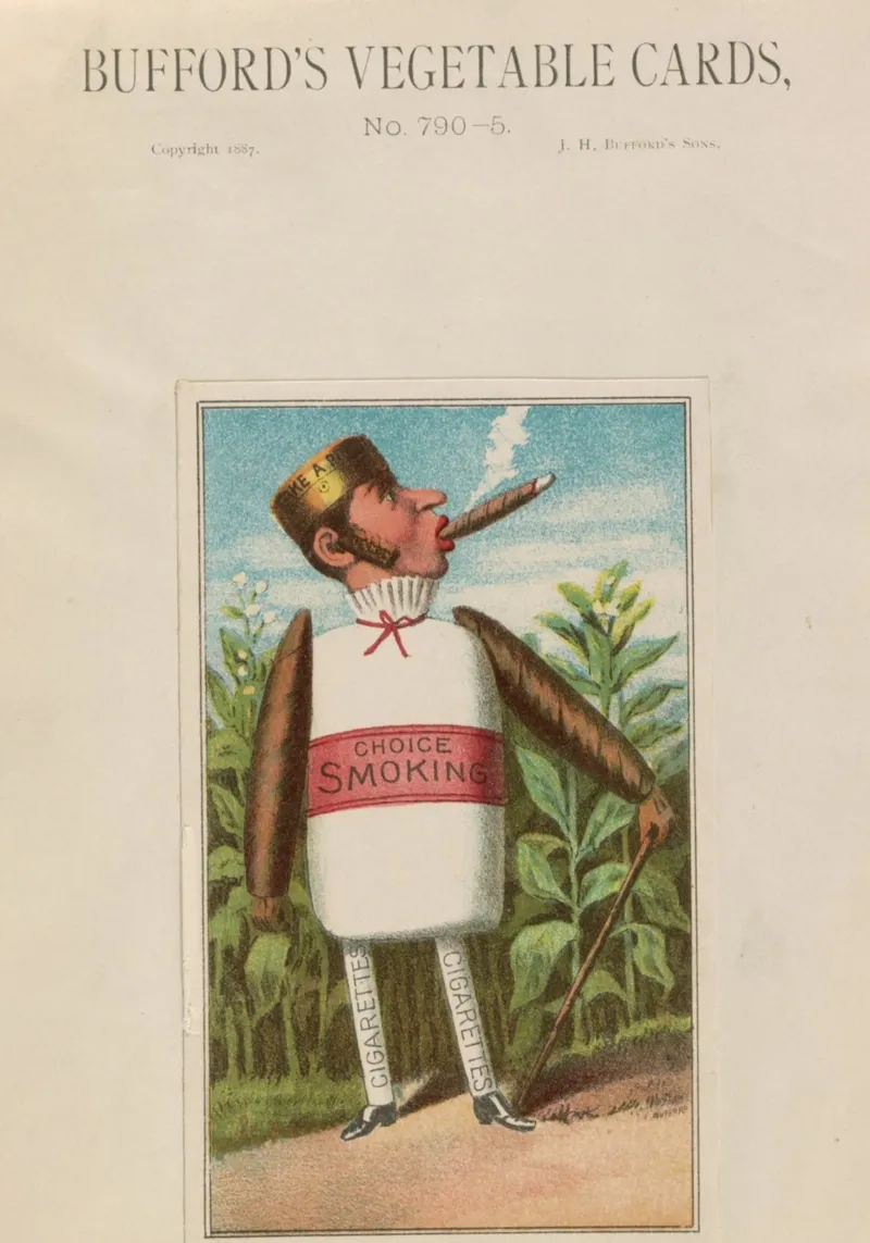 Stampa pubblicitaria d'epoca "Choice Smoking" di Bufford's Cigar Man alluminio dibond da ClubArt