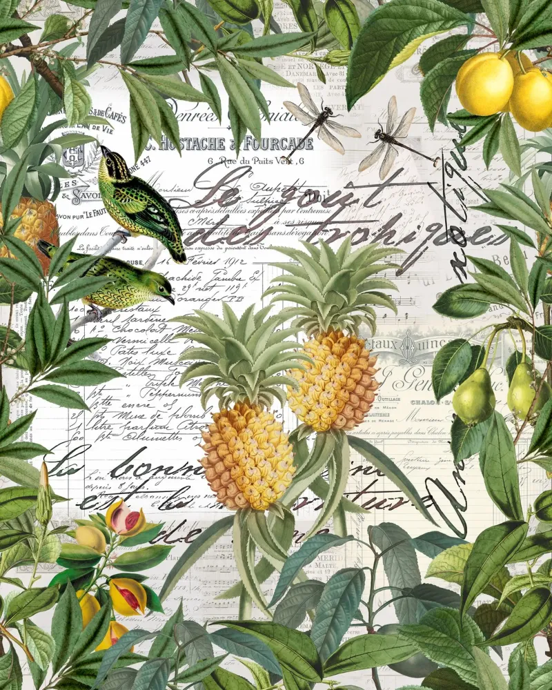 Illustrazione di frutta tropicale in stile vintage poster con telaio in legno da Andrea Haase Vintage World
