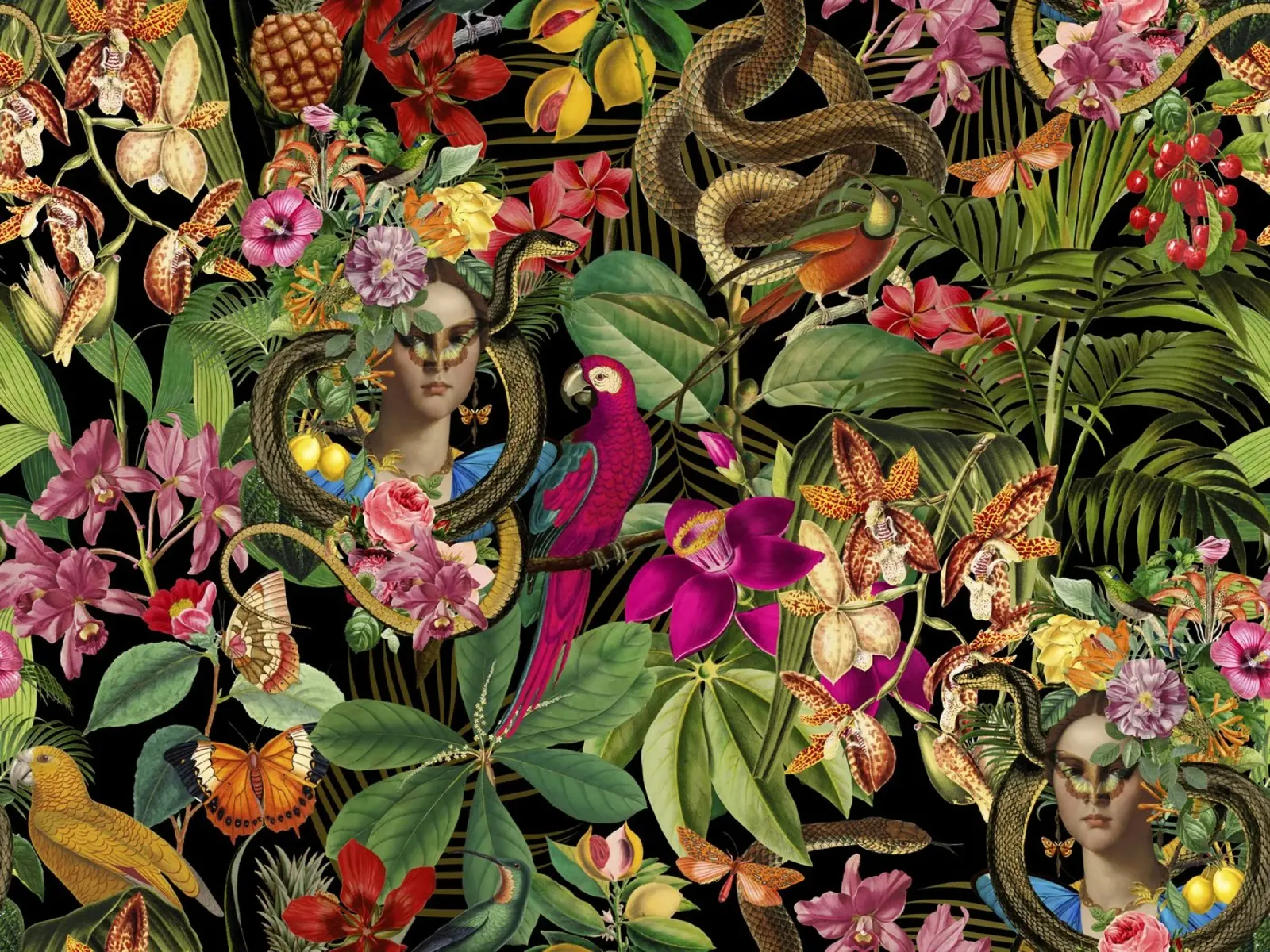 Serpente Principessa Fantasy Jungle Nero pellicola backlit da Andrea Haase Vintage World