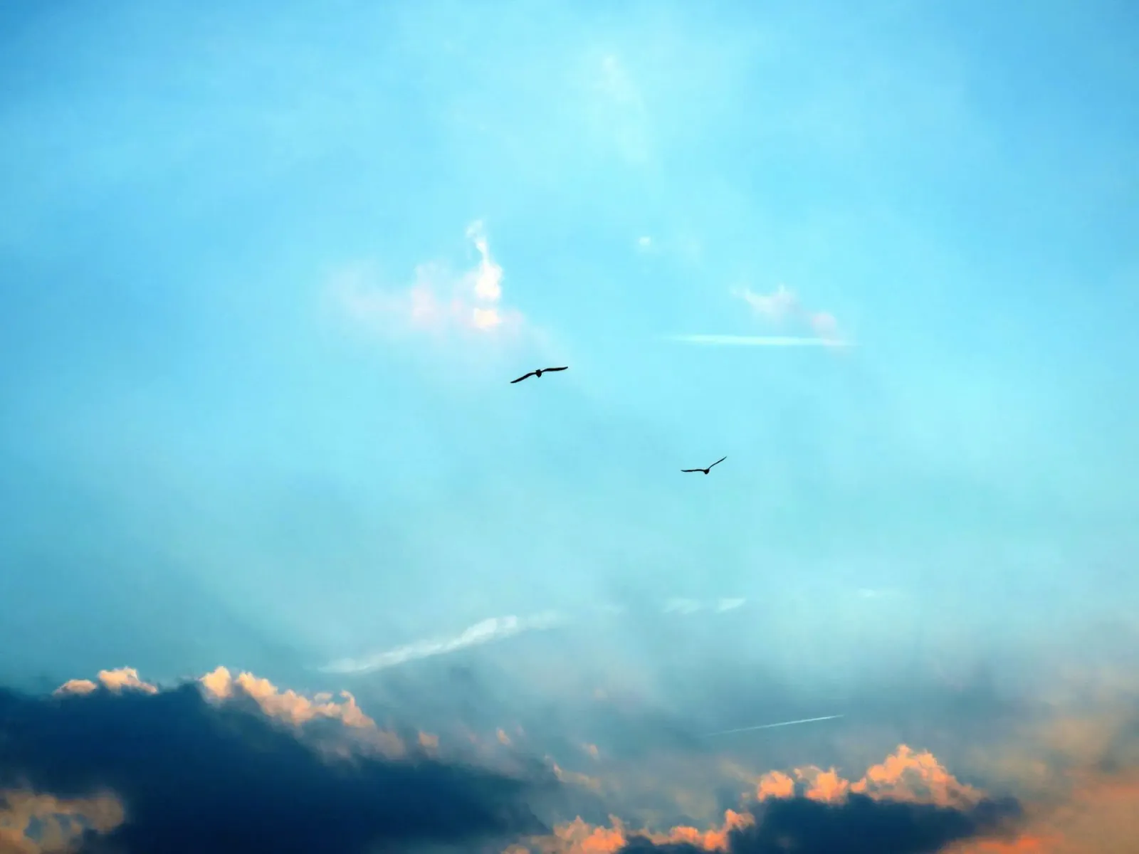 nature in open space canvas by home of clouds