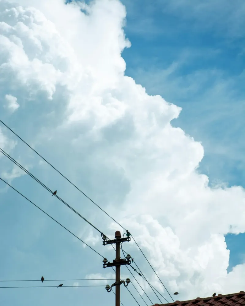 telephone wires and the clouds canvas by home of clouds