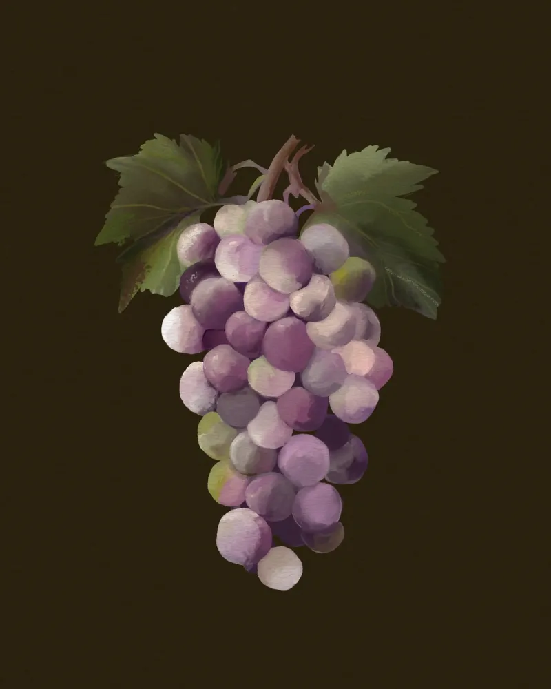 A hand-painted bunch of purple grapes poster with aluminum frame by mysteriouscoco