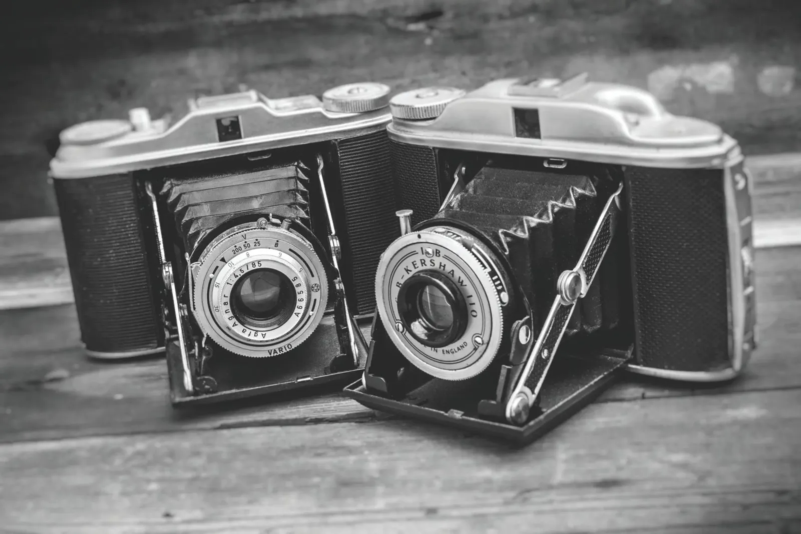 Two folding cameras pellicola backlit da Dave Hare Photography