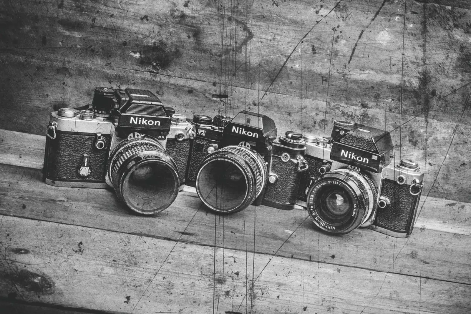 Three Nikon cameras plexiglass da Dave Hare Photography