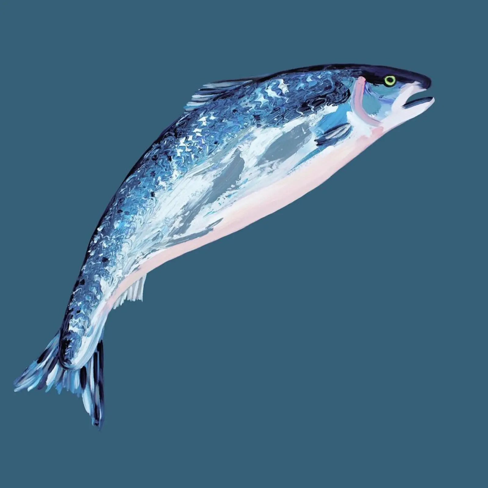 Leaping Salmon pellicola backlit da Alice Straker