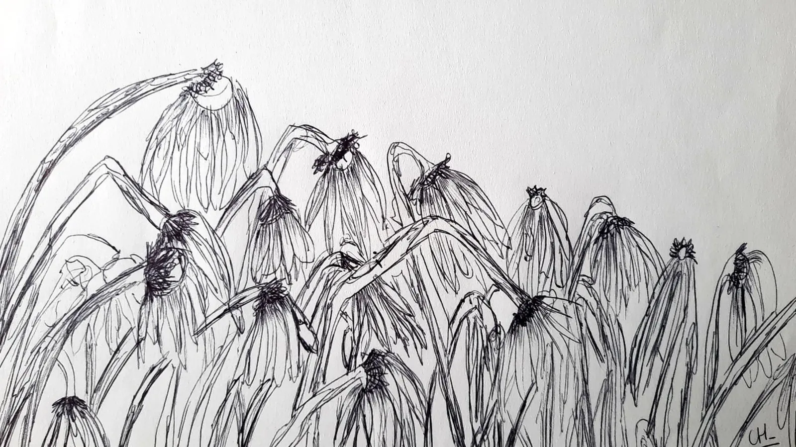 Campi di girasoli carta hahnemühle da Cohe studio
