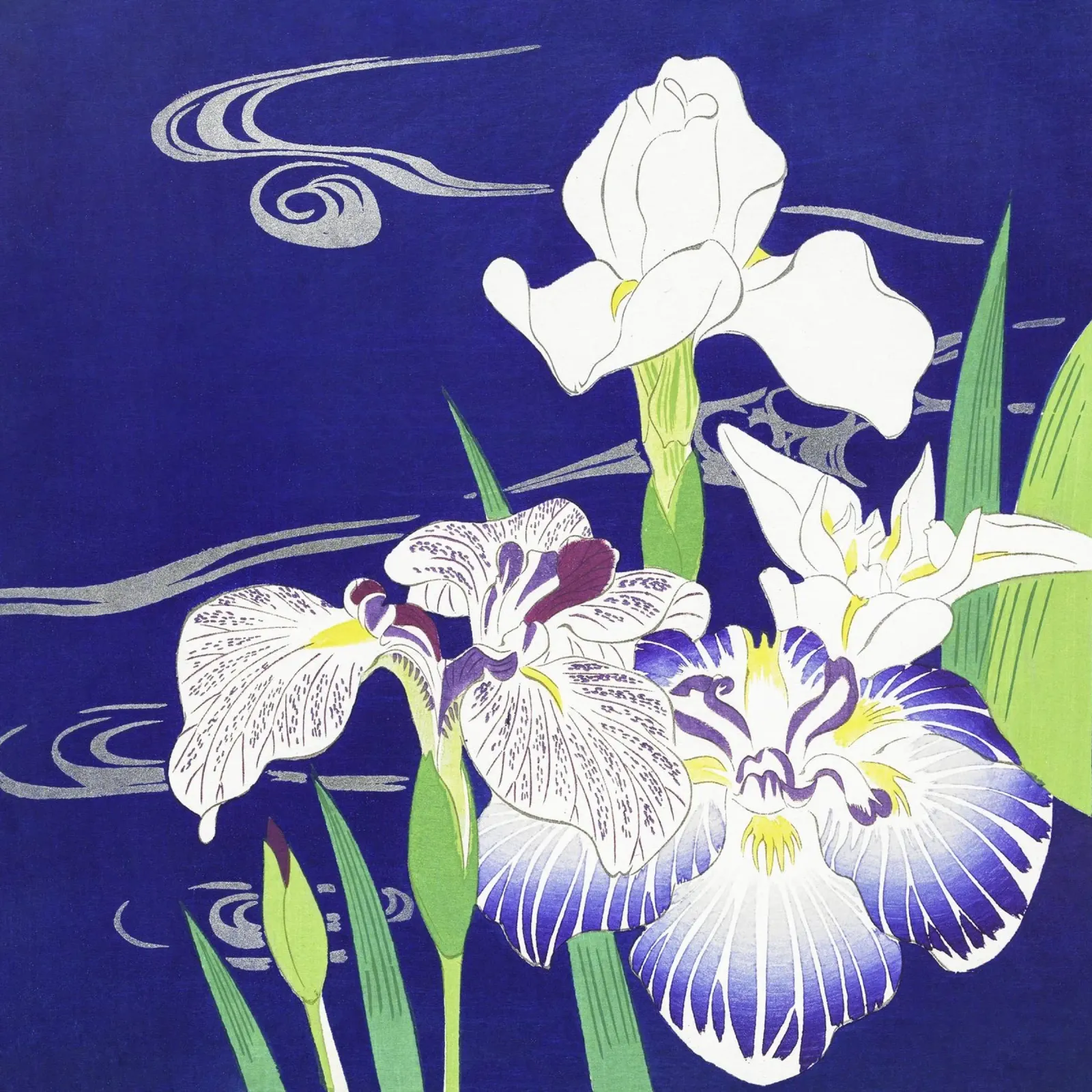 Iris di Kogyo Tsukioka (1890-1900) pellicola backlit da Venus Art