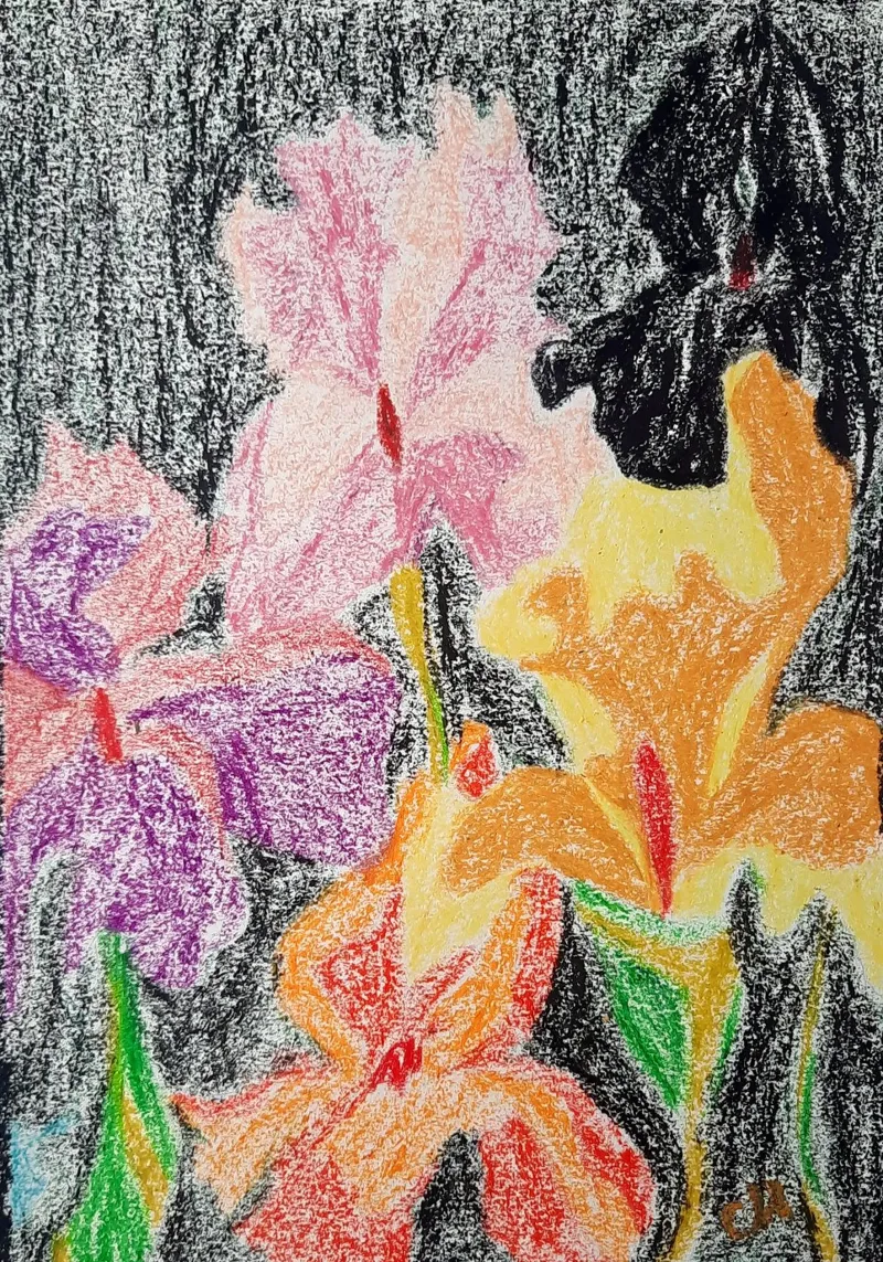 Fiori colorati plexiglass da Cohe studio