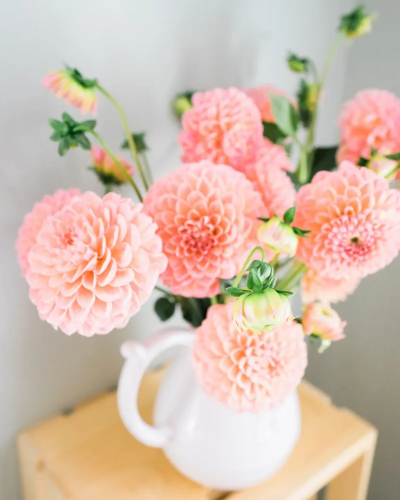 Coral Dahlia Bouquet hahnemühle by PhotoVibe Decor