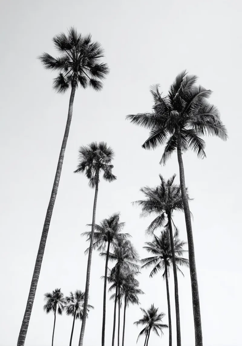 Tall Palm Trees - Black and White Tropical Art Poster poster con telaio in legno da Vela Luna