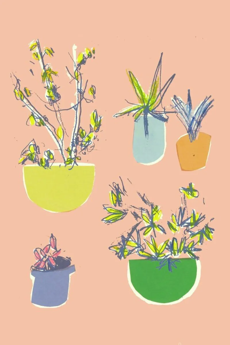 Plants On The Terrace plexiglass da Stars Above Us