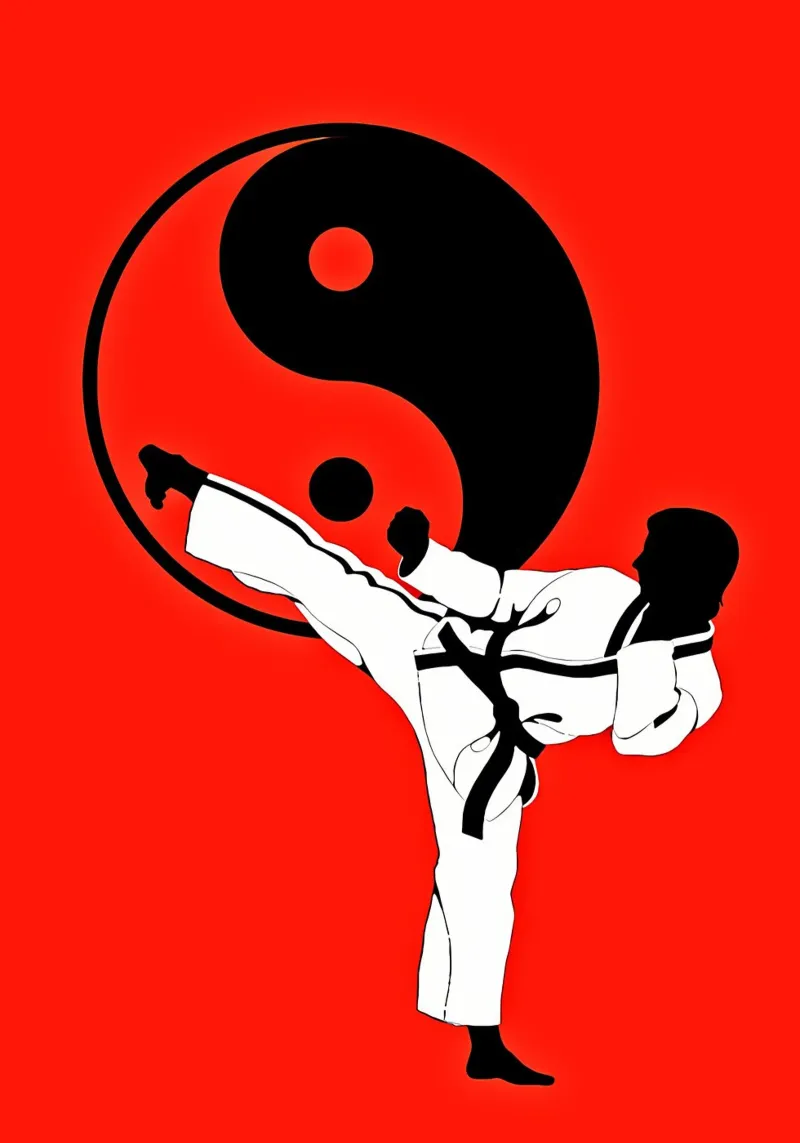 Yin-Yang-Kampfkunst Karate Poster mit Holzrahmen von BacsicRonBaleShop