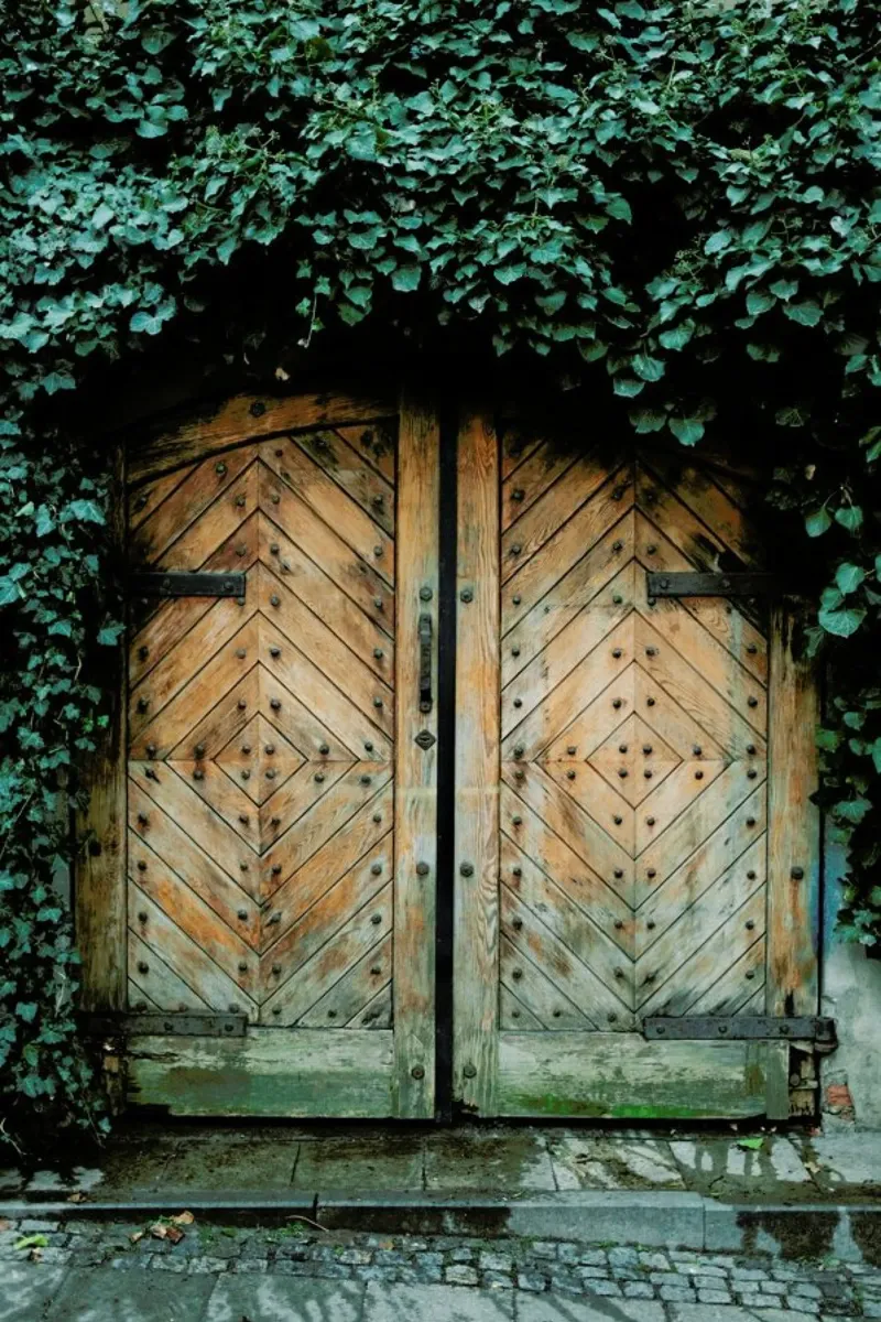 The Door pellicola backlit da Sebastian Hilgetag