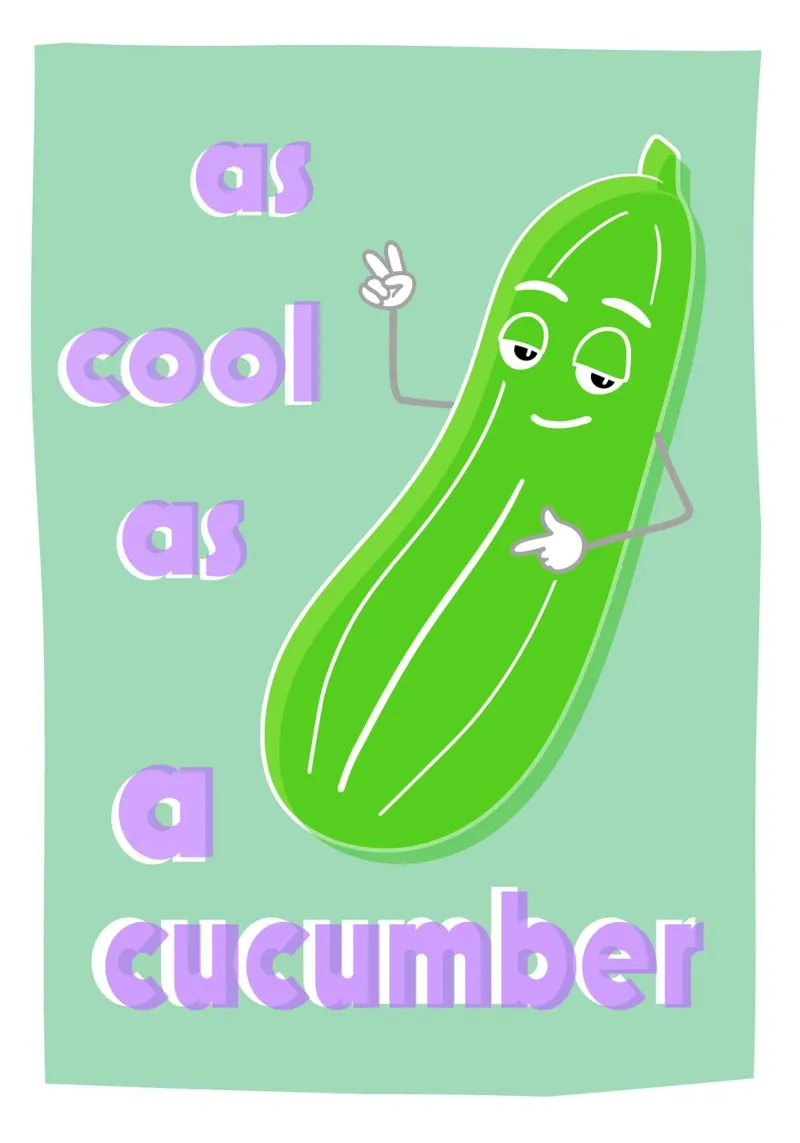 Cucumber plexiglass da Limo und Mo