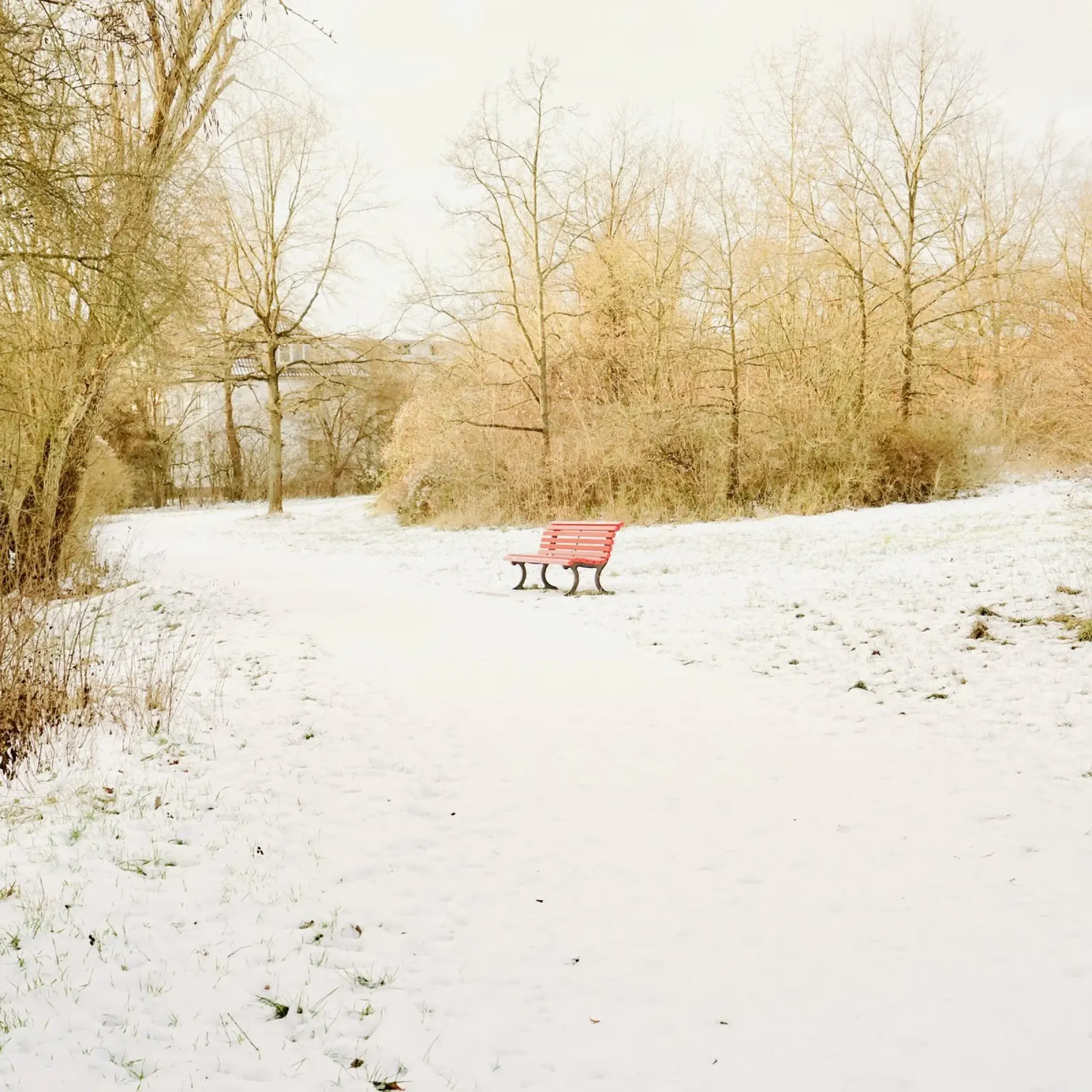 Banc rouge au parc des neiges poster de KISSA STUDIO