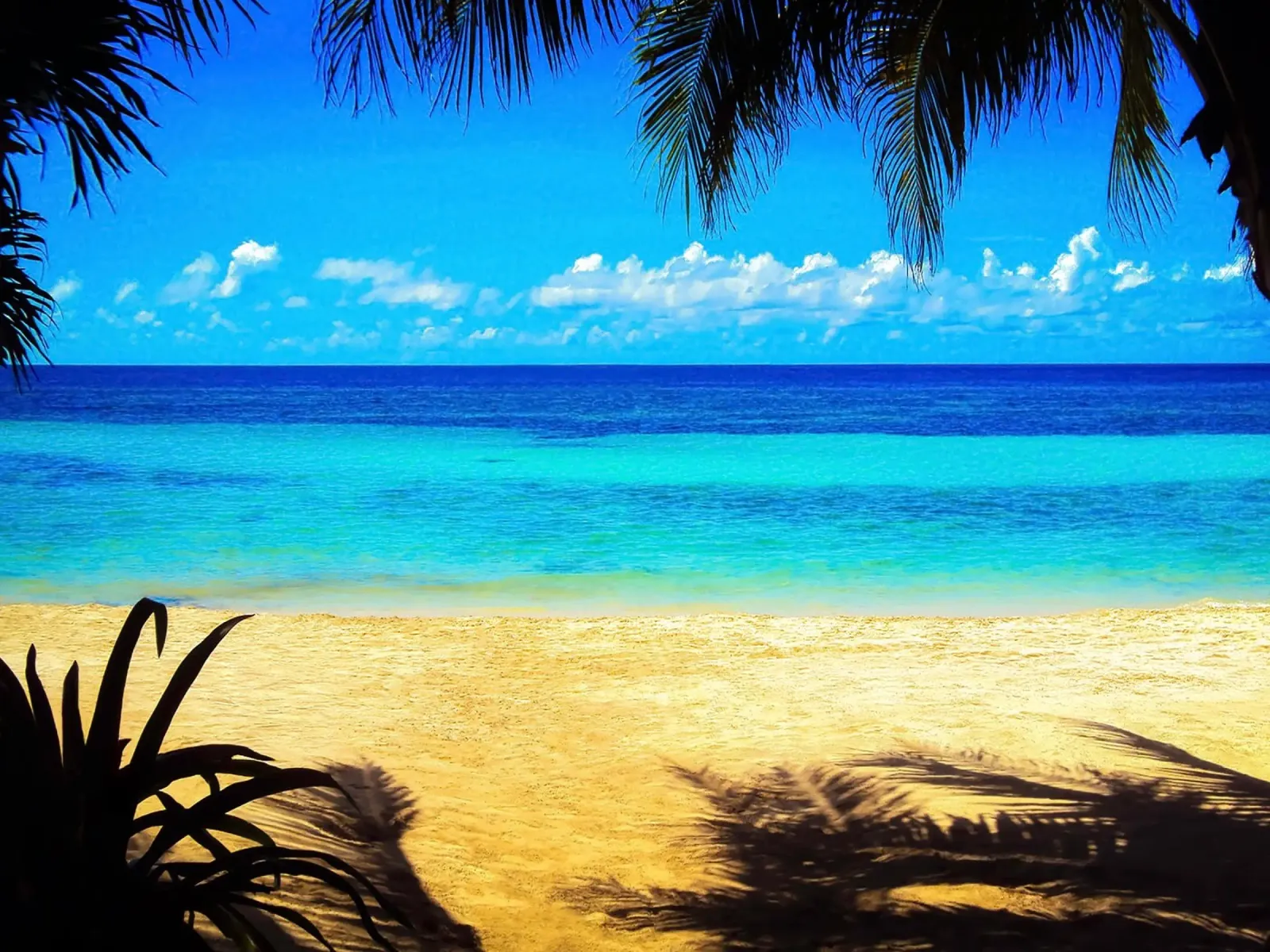 BEACH PARADISE pellicola backlit da Fine Art Nature & Landscape Photography
