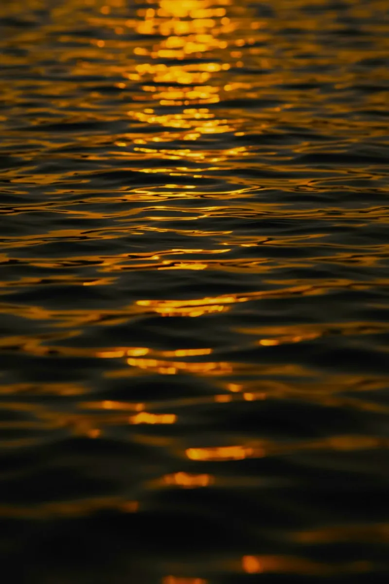 oceano al tramonto tela da Earthly Visions