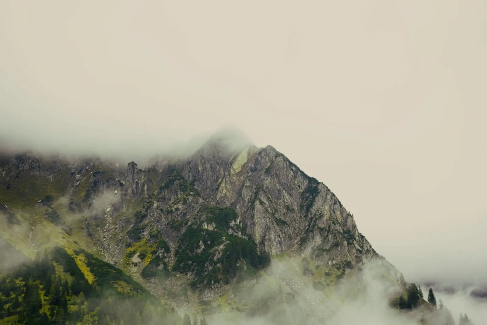 nebbia di montagna pellicola backlit da Earthly Visions