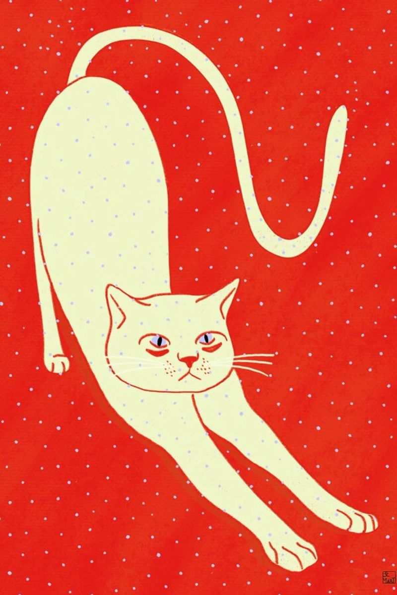 White Cat On Red Background pellicola backlit da Be Mart