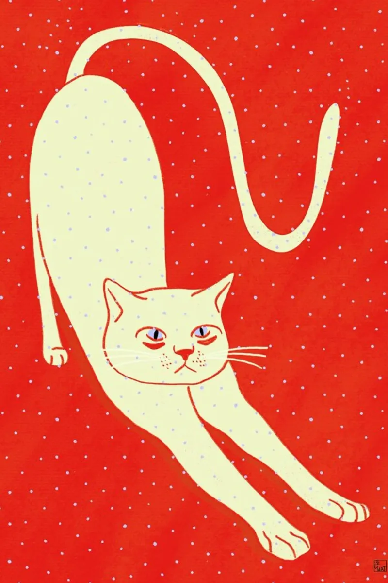 White Cat On Red Background carta hahnemühle da Be Mart