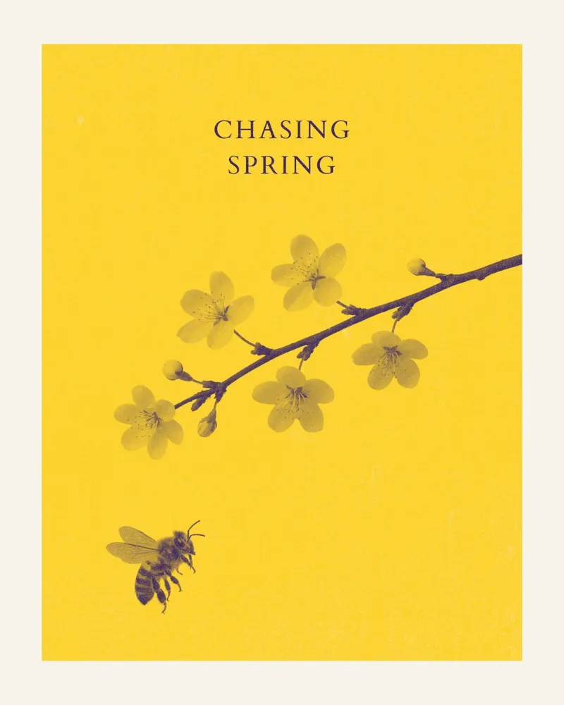 Chasing Spring canvas by Artezza