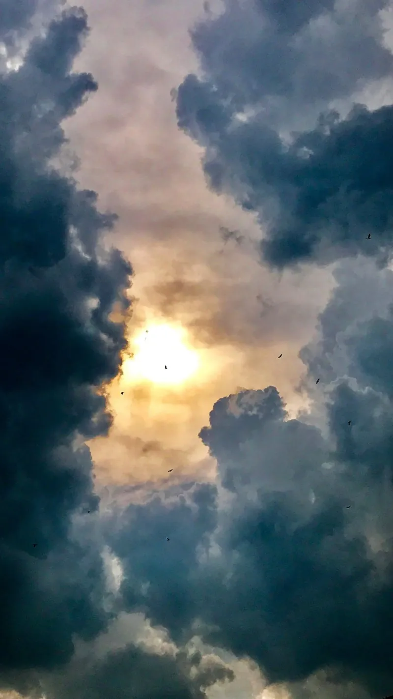 atardecer anochecer oscuro placa de forex de home of clouds