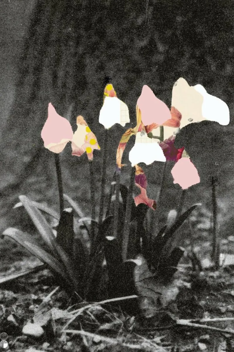 Flowers Still Life · Happy Abstraction 4 pellicola backlit da Marko Köppe