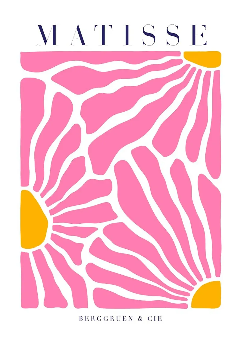 MATISSE Fiori rosa 3 pellicola backlit da Patrick J Curtis