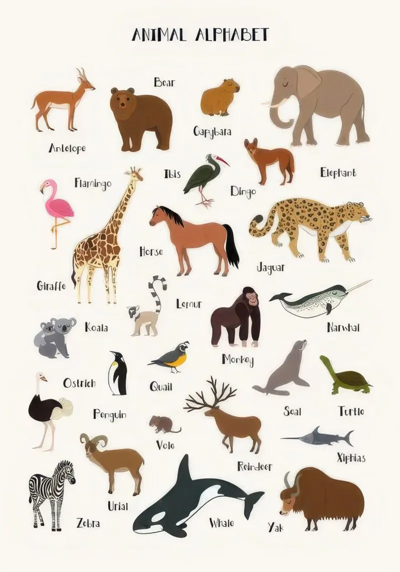 Animal Alphabet acrylic glass by KIds Idea