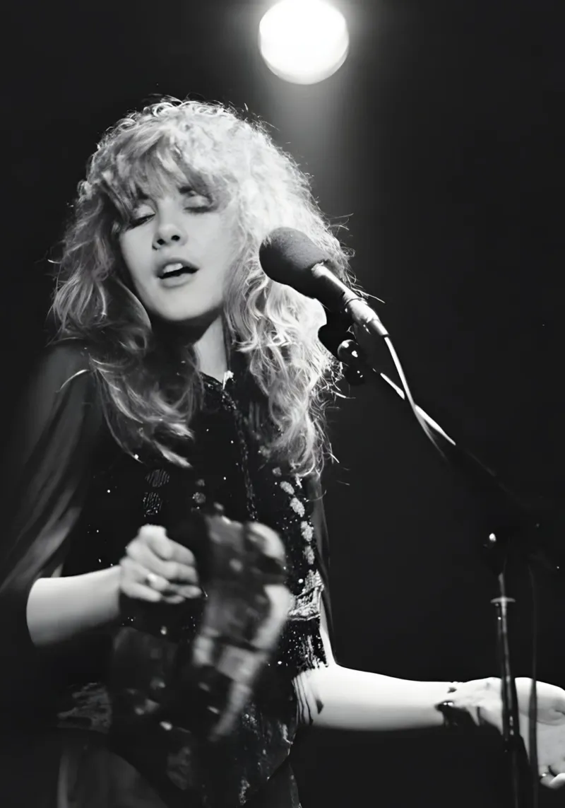 Stevie Nicks carta hahnemühle da Low poly art