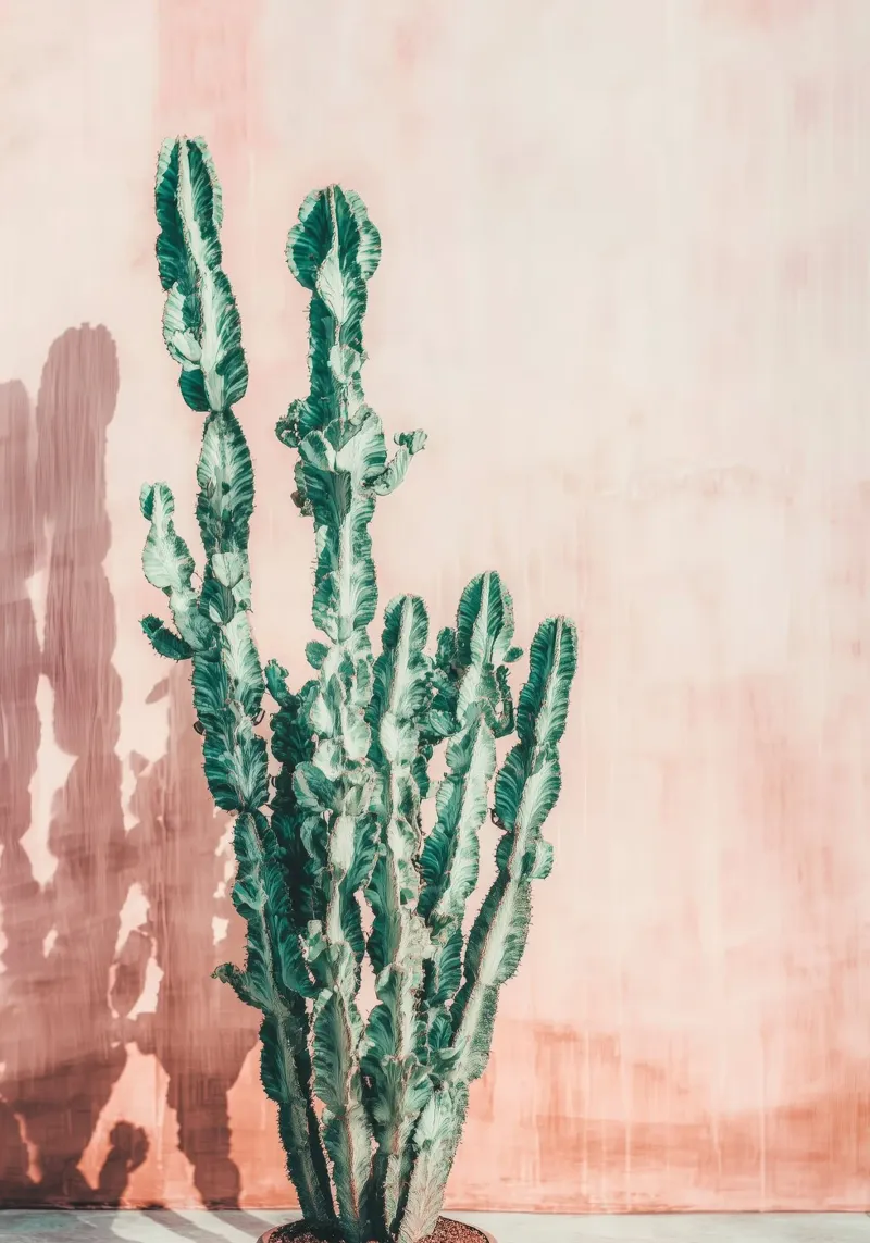 Tall Cactus Poster - Minimal Boho Plant Wall Art canvas by Vela Luna