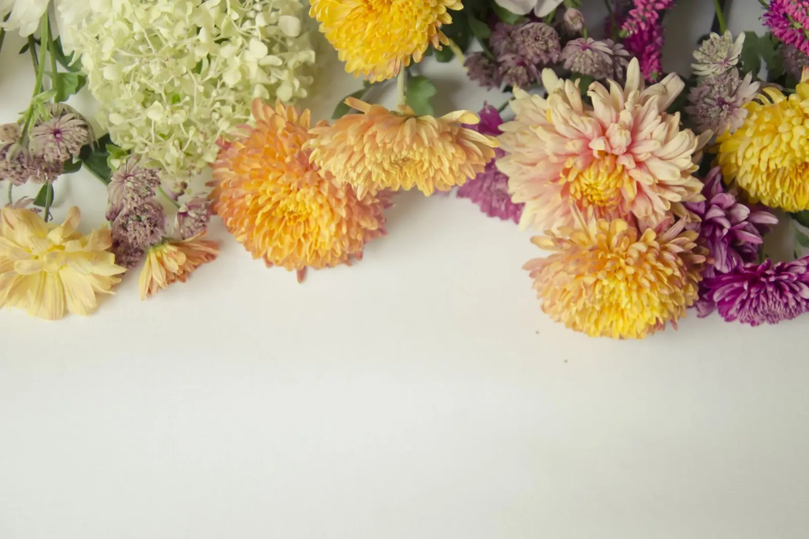 Zachte bloemblaadjes en zachte tinten canvas met Baklijst van PhotoVibe Decor