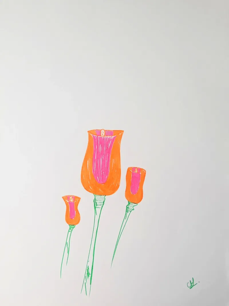 Tulipani bicolore carta hahnemühle da Cohe studio